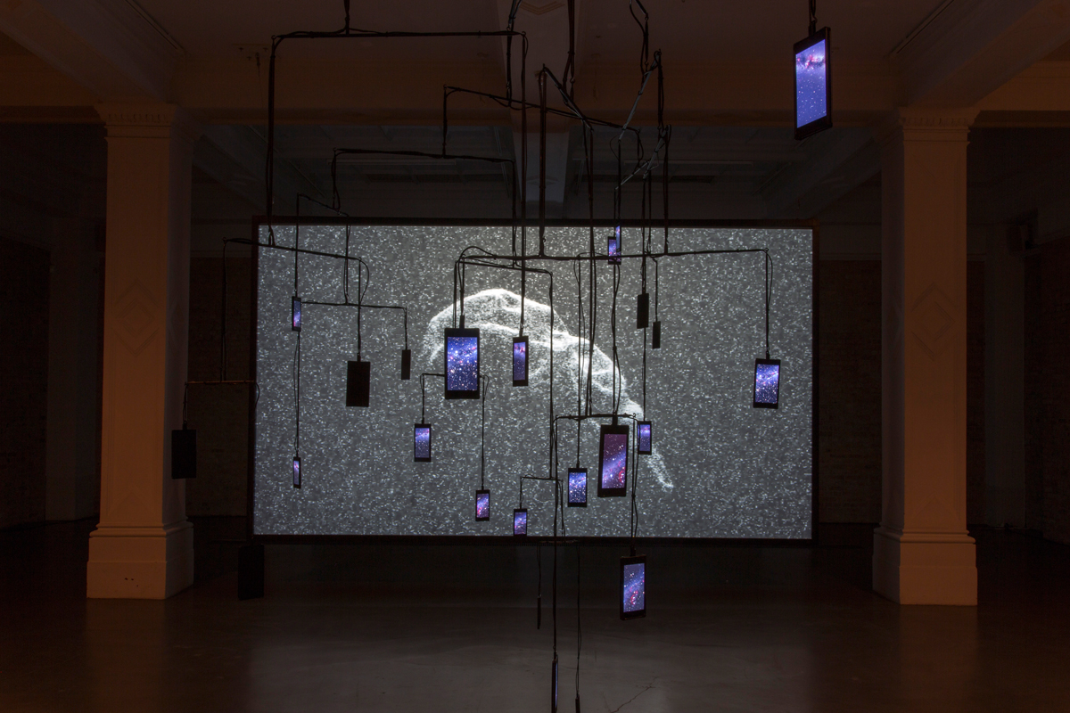 Studio Violet : Medium Median